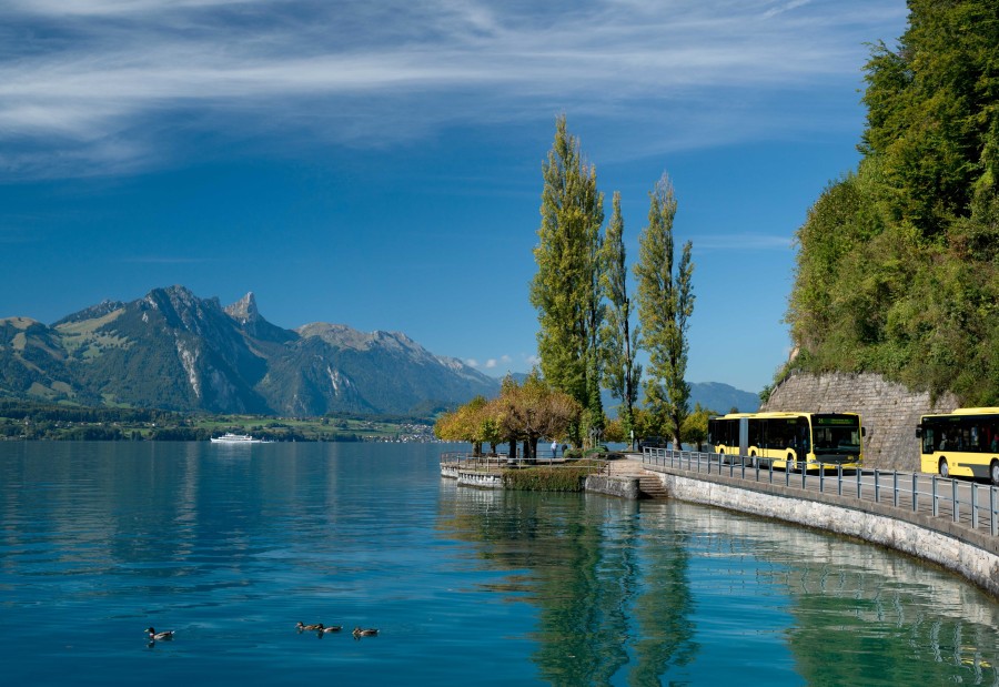 Schl Sser Rund Um Den Thunersee Berner Oberland Pass